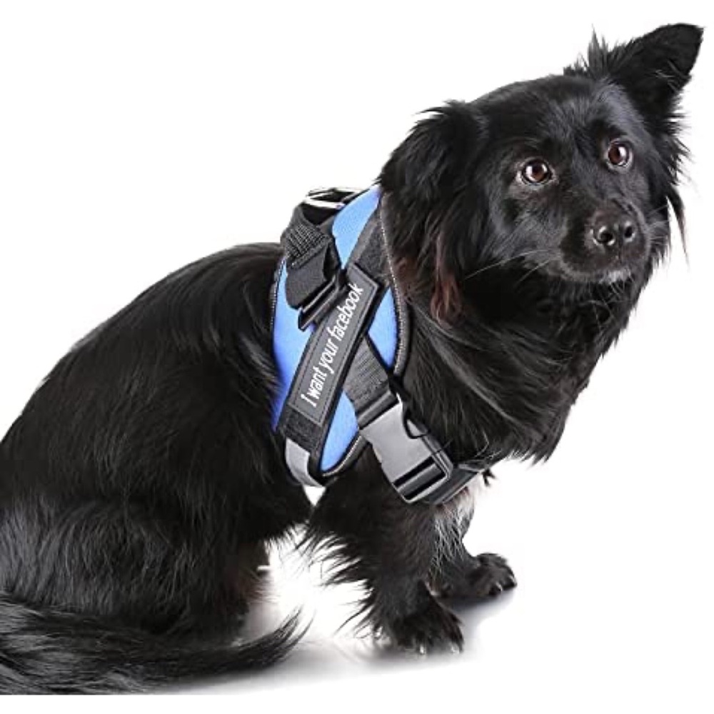 Dog Adjustable Walking Pet Harness Reflective Breathable Vest with Handle Blue S - Picture 2 of 6
